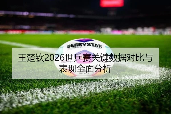 王楚钦2026世乒赛关键数据对比与表现全面分析